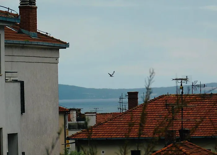Daire Lux Lariva, Center Of